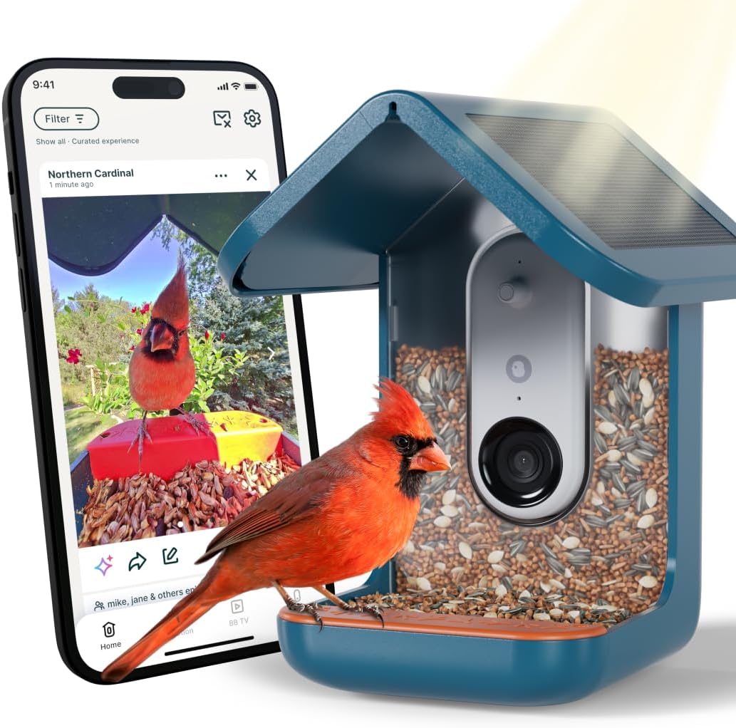 Bird Buddy Comedero Inteligente con Cámara HD y Reconocimiento por IA de Aves Silvestres