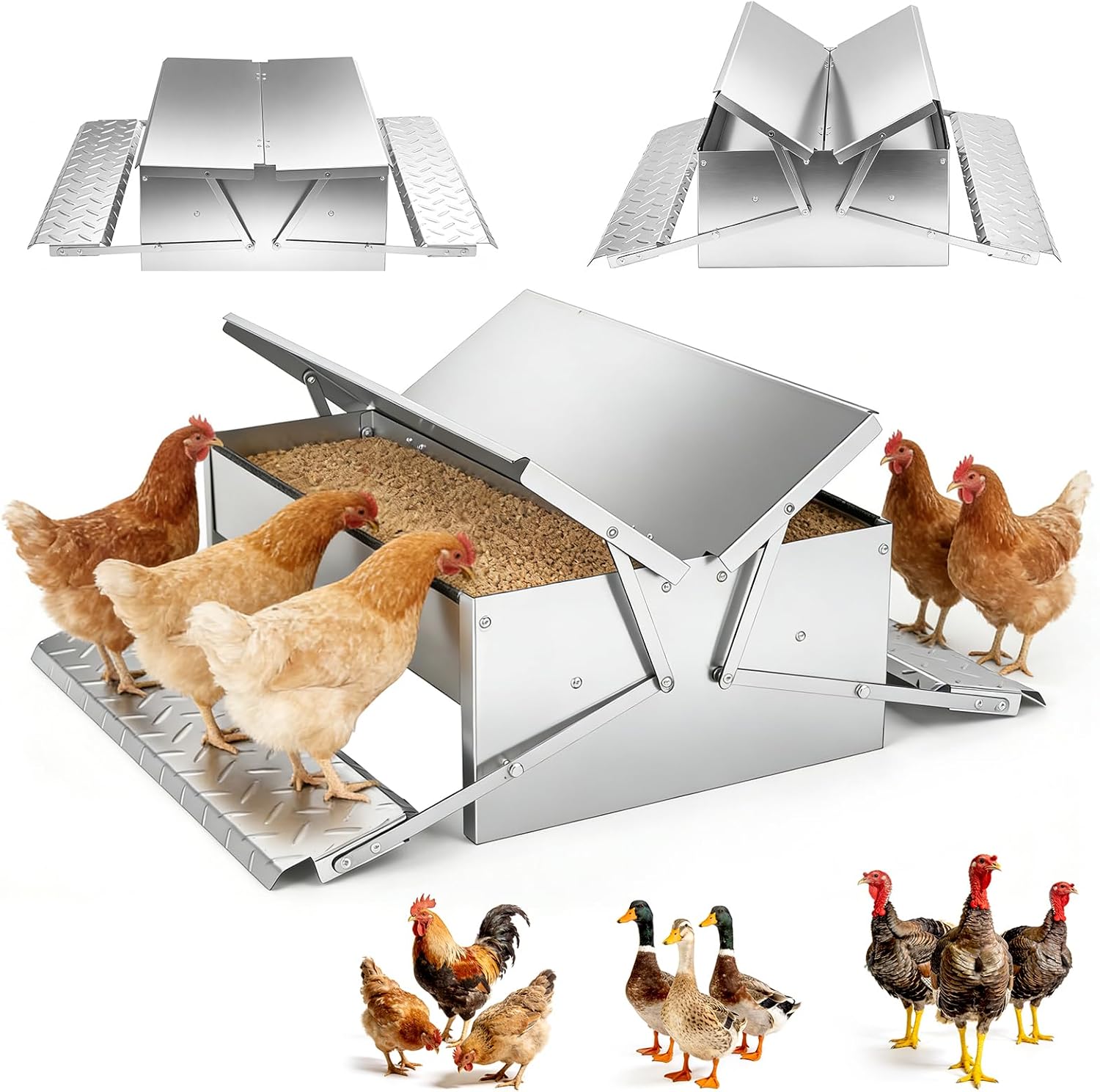 Fotografía técnica oficial de Comedero Automático para Gallinas con Apertura a Pedal Anti-Roedores y Pájaros - Vista frontal con fondo neutro