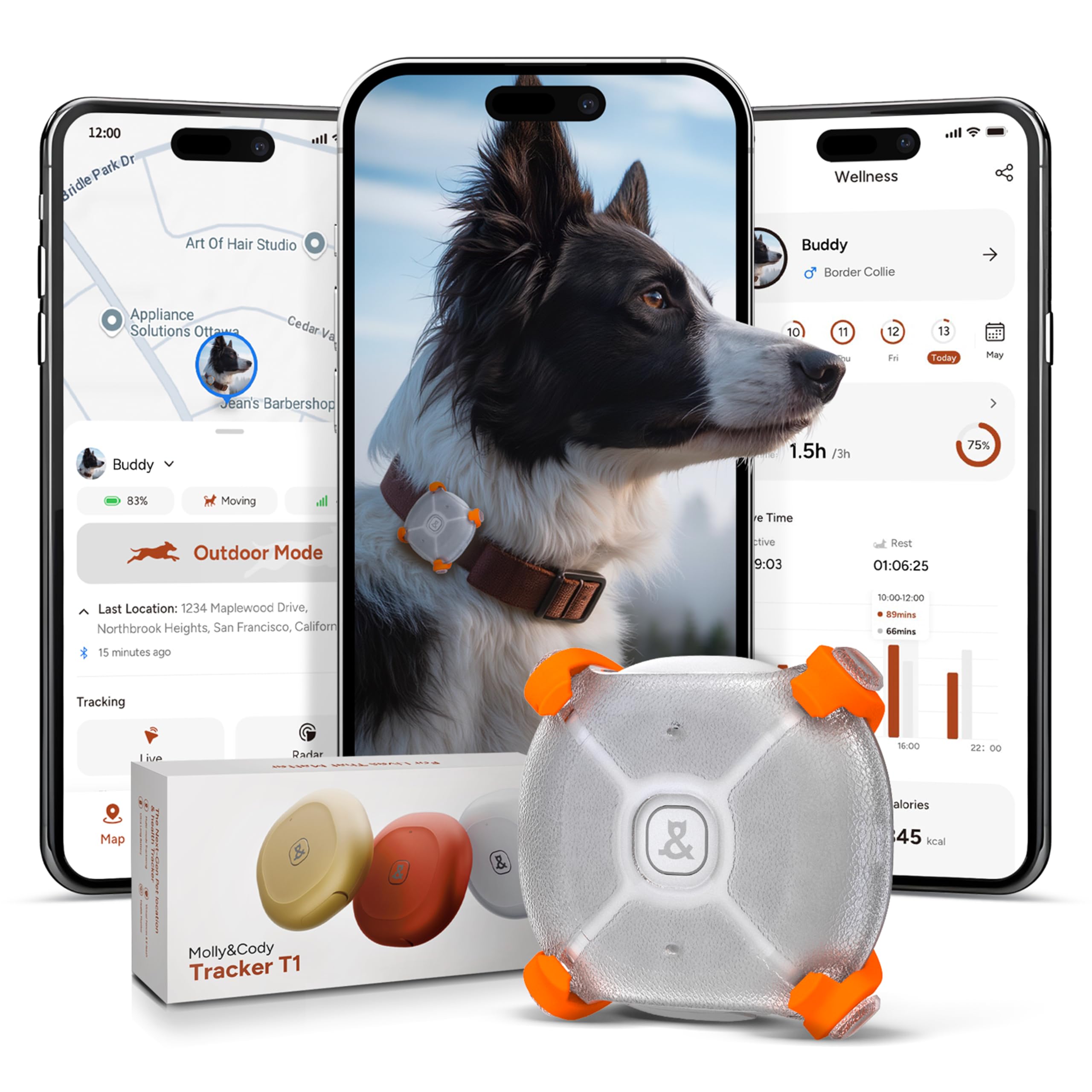 Molly&amp;Cody GPS Tracker para Perros y Gatos | Localización en Tiempo Real | 4 Modos de Seguimiento en Amazon.es