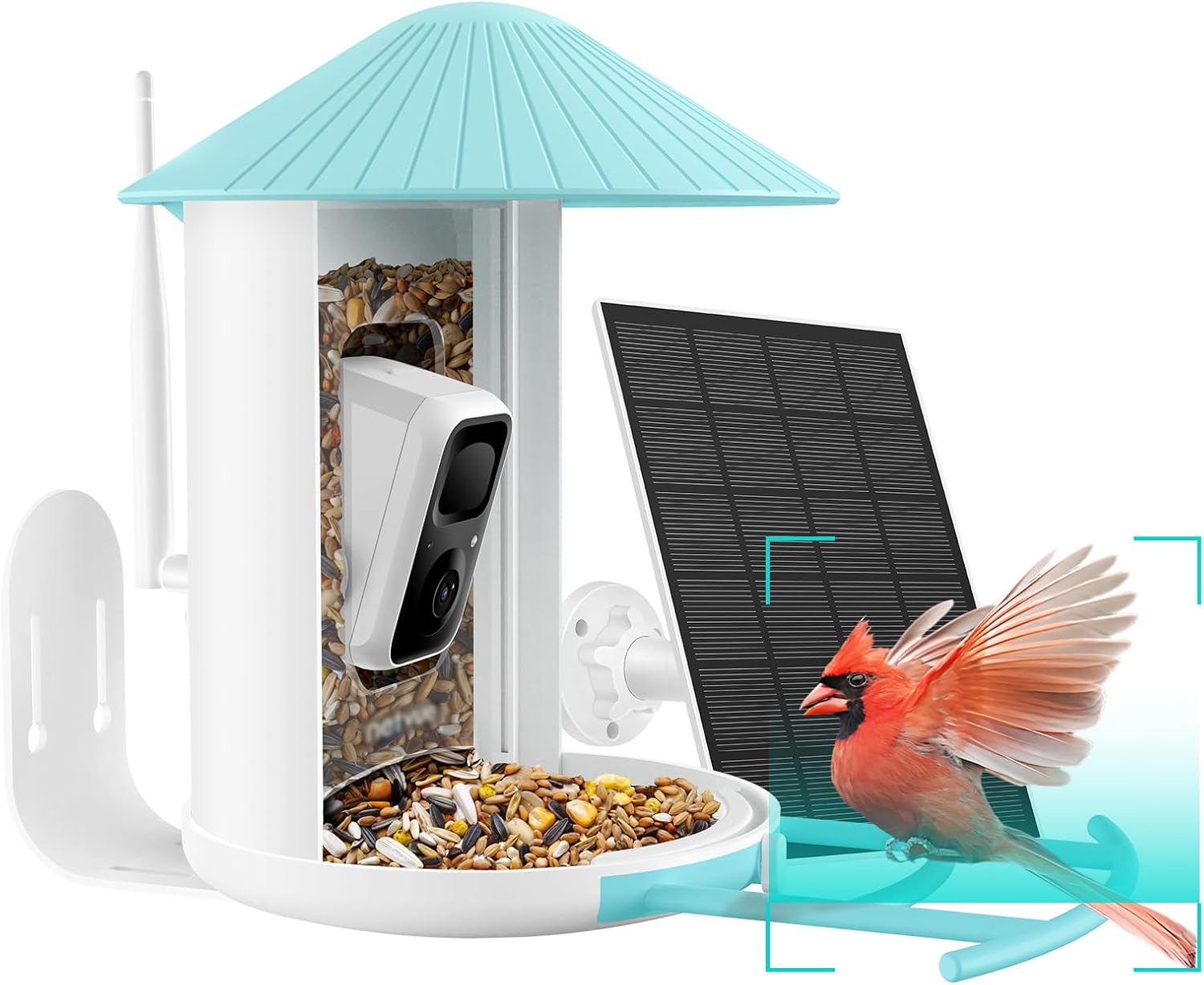 Fotografía técnica oficial de Netvue Birdfy Comedero Inteligente para Pájaros con Cámara AI 1080p y Panel Solar - Vista frontal con fondo neutro